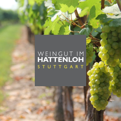 Weingut im Hattenloh